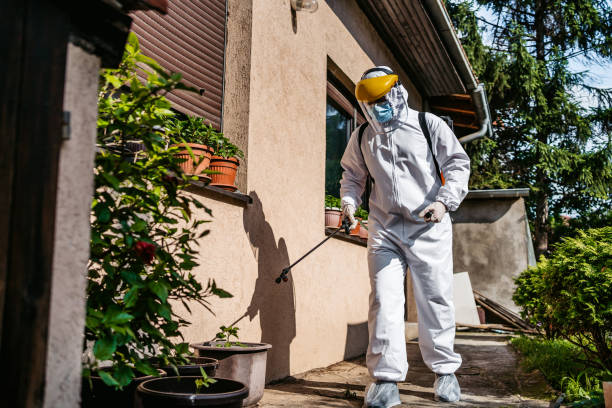 Flea Control Services in Mechanicstown, NY