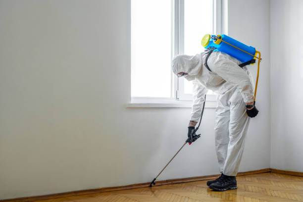 Best Spider Control Near Me  in Mechanicstown, NY