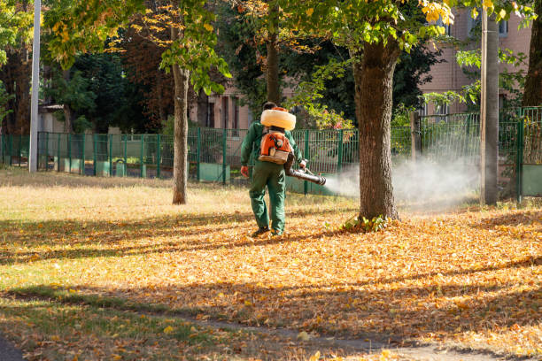 Best Pest Prevention Services  in Mechanicstown, NY