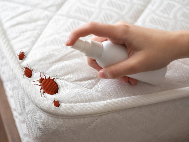 Wasp Removal Services in Mechanicstown, NY