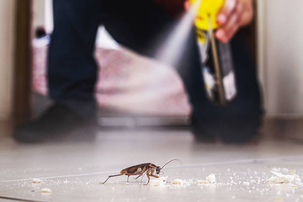 Best Flea Control Services  in Mechanicstown, NY