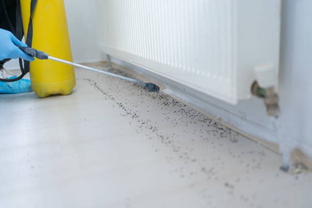 Best Emergency Pest Control  in Mechanicstown, NY