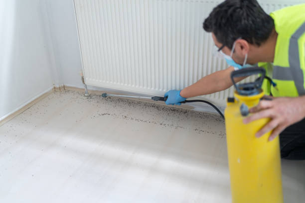 Best Pest Removal Services  in Mechanicstown, NY